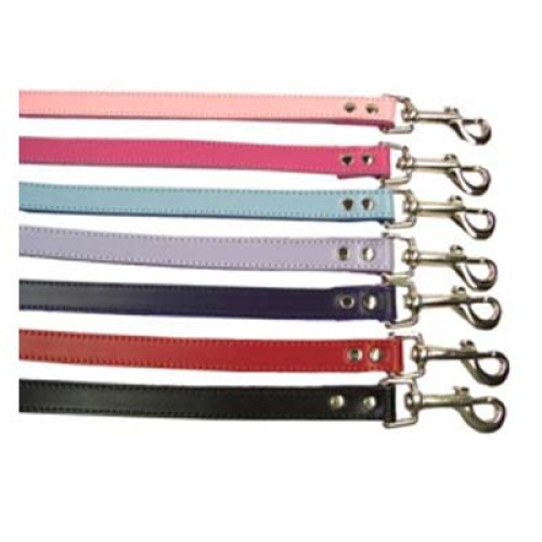 Dog Leads